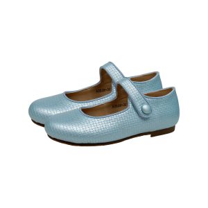 Blue Mary Jane Shoes